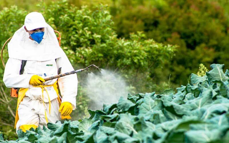 جای خالی کارشناس فنی در فروشگاه‌های سم و مزارع جنوب کرمان